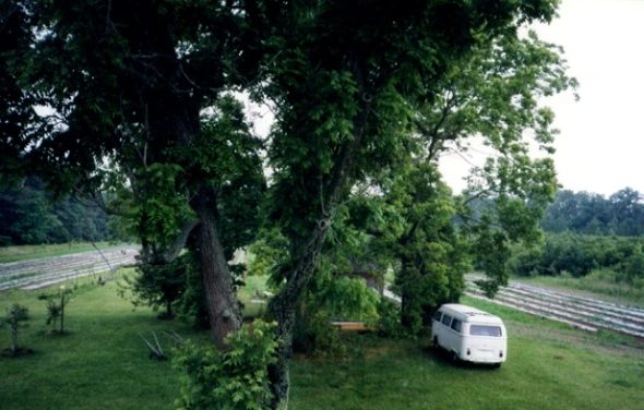 Bus and Field